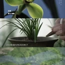 北京旅游 缩略图 7
