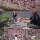 北京旅游 缩略图 9