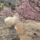 漳州旅游 缩略图 7