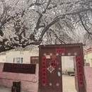 喀什地区旅游 缩略图 16