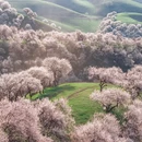 伊犁旅游 缩略图 2