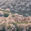伊犁旅游 缩略图 3