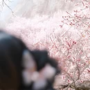 阿勒泰地区旅游 缩略图 3