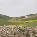 伊犁旅游 缩略图 3