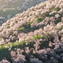 伊犁旅游 缩略图 4