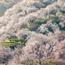 伊犁旅游 缩略图 5
