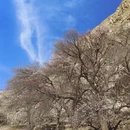 喀什地区旅游 缩略图 2