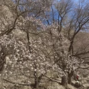 喀什地区旅游 缩略图 3