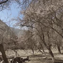 喀什地区旅游 缩略图 4