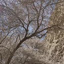 喀什地区旅游 缩略图 5