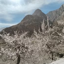 喀什地区旅游 缩略图 6