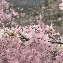 漳州旅游 缩略图 11