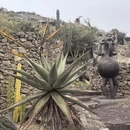 漳州旅游 缩略图 16