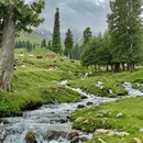 伊犁旅游 缩略图 3