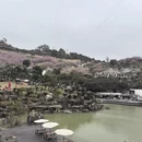 漳州旅游 缩略图 18