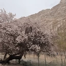 喀什地区旅游 缩略图 1