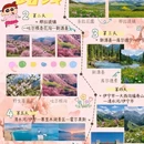 伊犁旅游 缩略图 1
