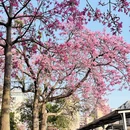 泉州旅游 缩略图 1