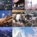 长春旅游 缩略图 1