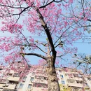泉州旅游 缩略图 2