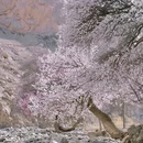 喀什地区旅游 缩略图 8