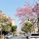 泉州旅游 缩略图 4