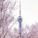 长春旅游 缩略图 5