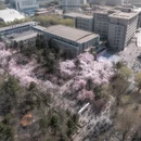 长春旅游 缩略图 10
