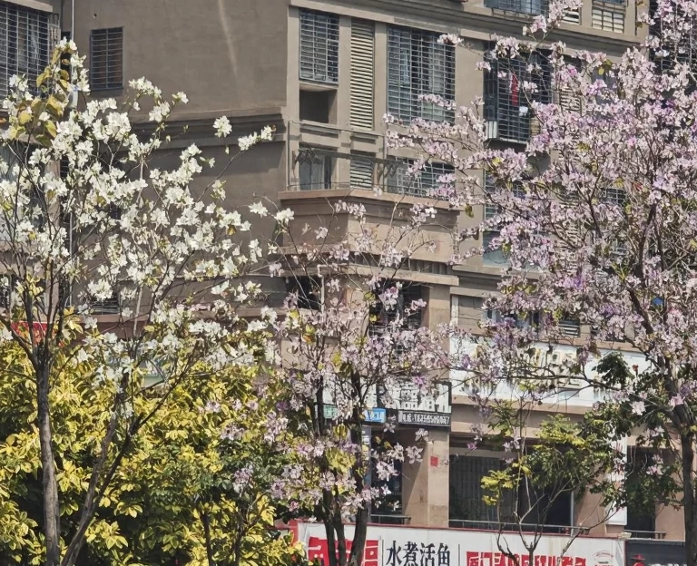 泉州旅游 1
