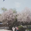 泉州旅游 缩略图 4