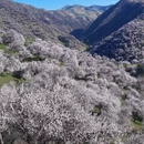 喀什地区旅游 缩略图 3
