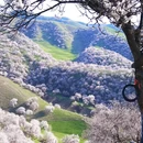 喀什地区旅游 缩略图 2