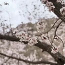 喀什地区旅游 缩略图 6