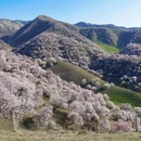 喀什地区旅游 缩略图 8