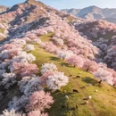 喀什地区旅游 缩略图 1