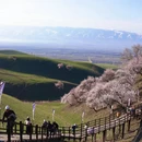 喀什地区旅游 缩略图 9