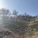 伊犁旅游 缩略图 1