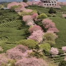 龙岩旅游 缩略图 1