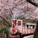龙岩旅游 缩略图 2