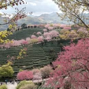 龙岩旅游 缩略图 3