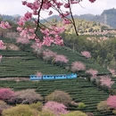 龙岩旅游 缩略图 5