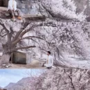 喀什地区旅游 缩略图 1