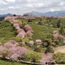 龙岩旅游 缩略图 6