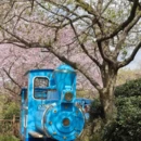 龙岩旅游 缩略图 8