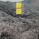 伊犁旅游 缩略图 1