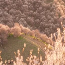 伊犁旅游 缩略图 4