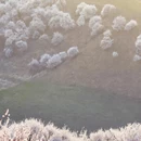 伊犁旅游 缩略图 7