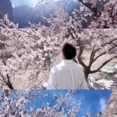 喀什地区旅游 缩略图 3