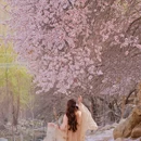 伊犁旅游 缩略图 1