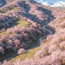 伊犁旅游 缩略图 2